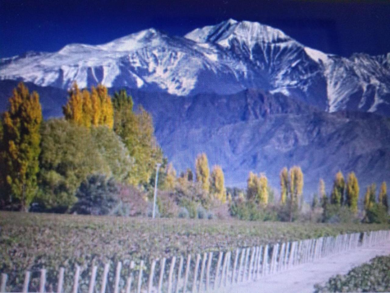 Апартаменты Corazon De Mendoza Сан-Рафаэль Экстерьер фото
